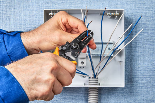 Best Electrical Maintenance Services  in Highlandville, MO